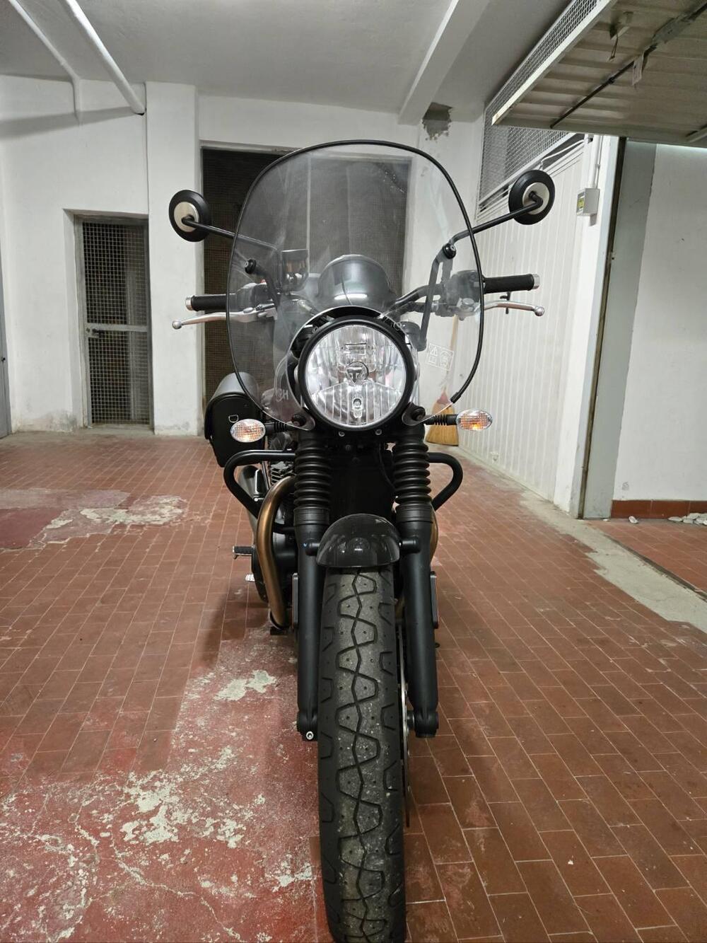 Triumph Speed Twin 900 (2023 - 24)