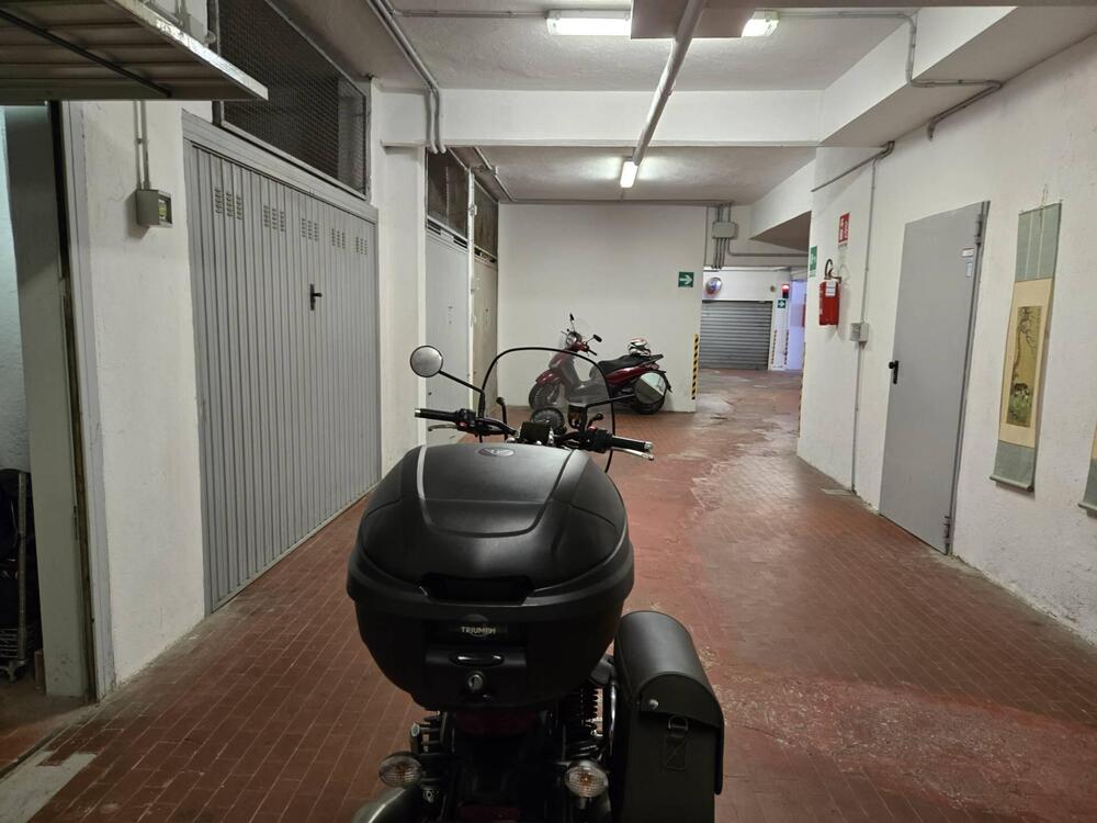 Triumph Speed Twin 900 (2023 - 24) (5)