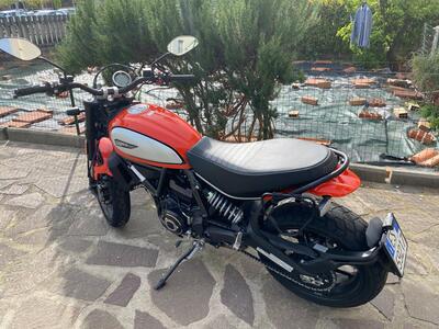 Ducati Scrambler 800 Icon (2021 - 22) usata