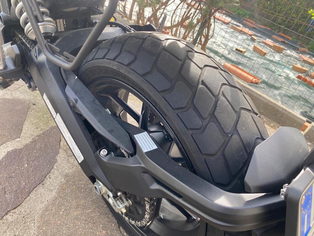 Ducati Scrambler 800 Icon (2021 - 22) (5)