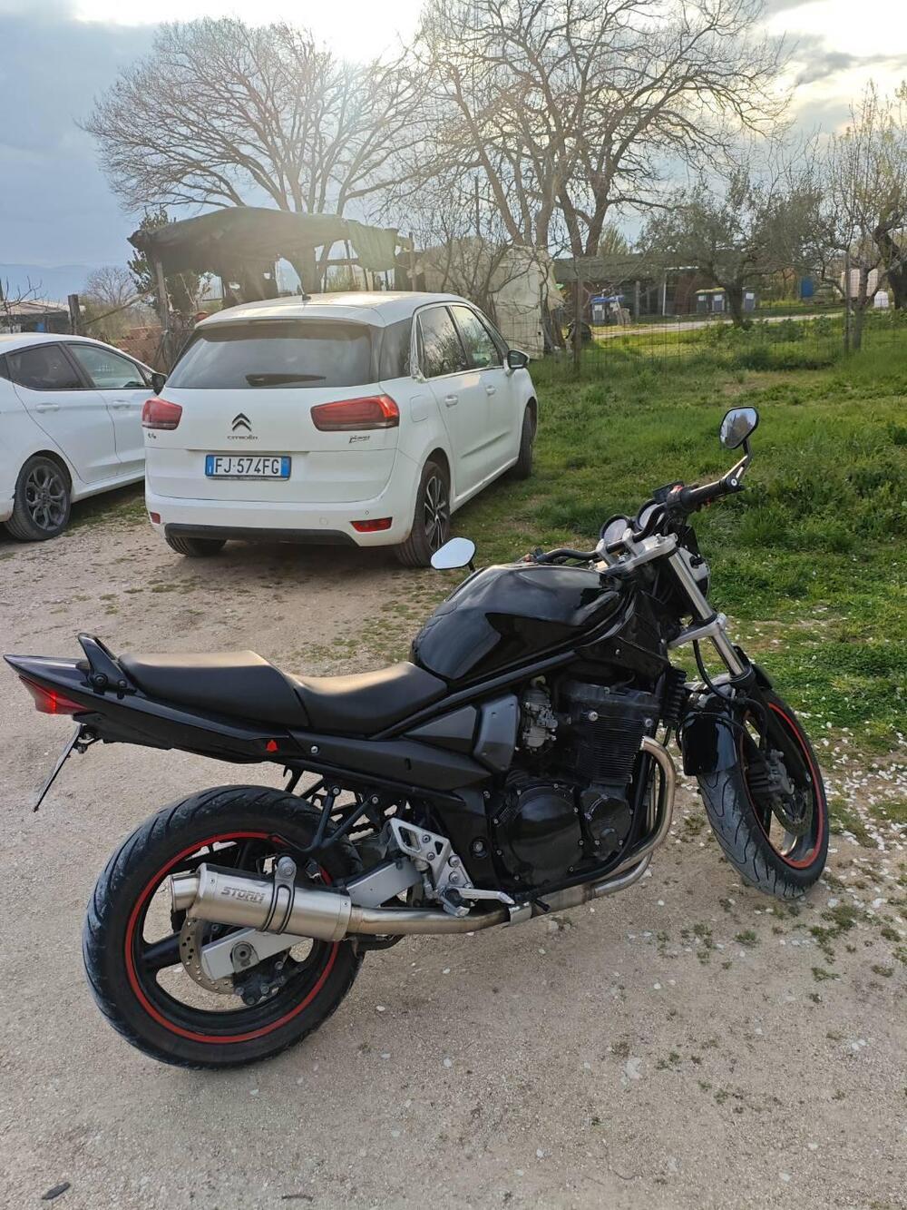 Suzuki GSF 650 Bandit (2005 - 06) (2)