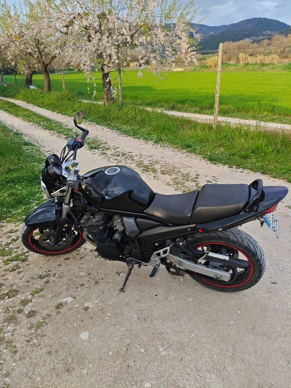 Suzuki GSF 650 Bandit (2005 - 06) (3)