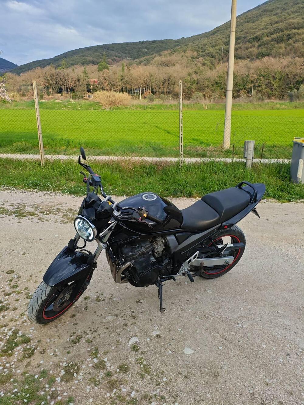 Suzuki GSF 650 Bandit (2005 - 06) (4)