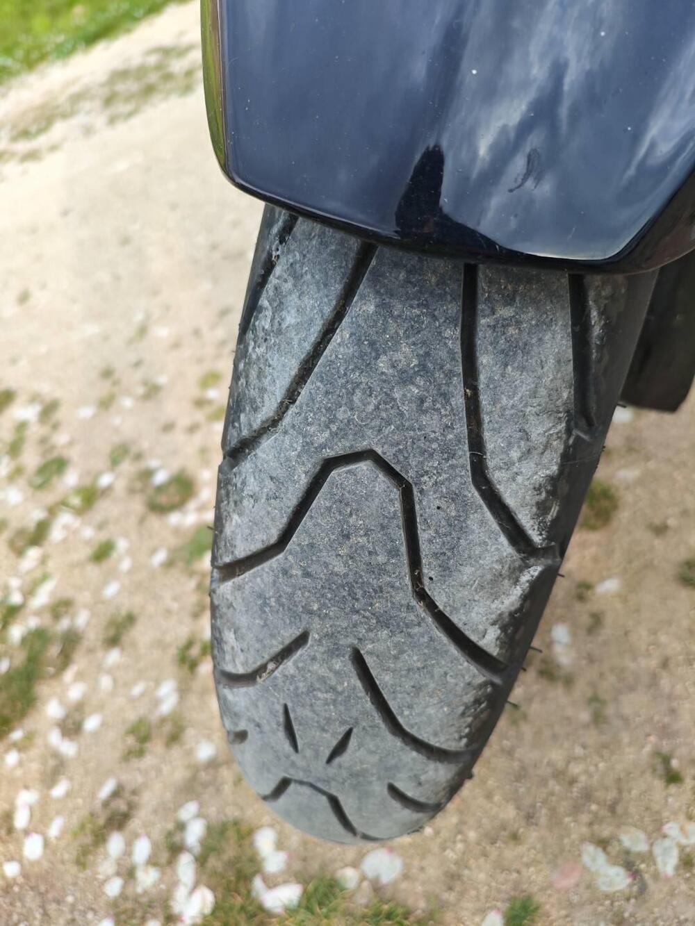 Suzuki GSF 650 Bandit (2005 - 06) (6)