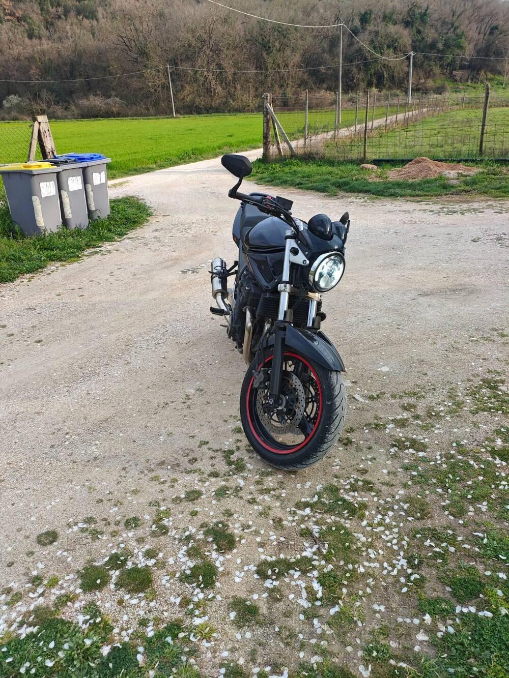 Suzuki GSF 650 Bandit (2005 - 06) (8)