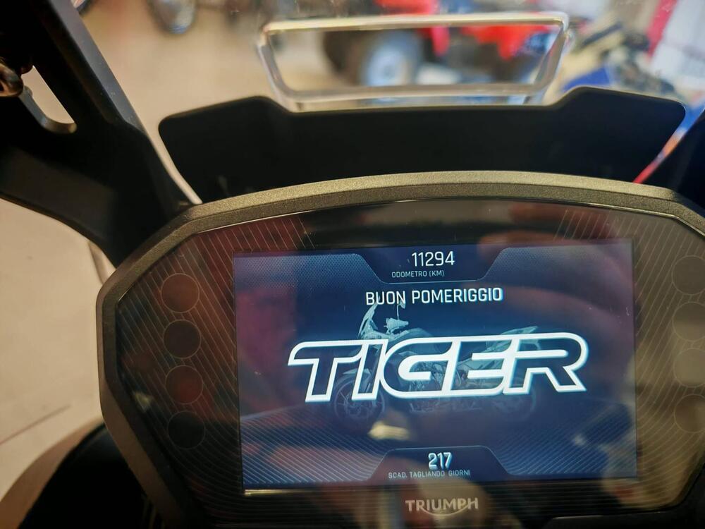 Triumph Tiger 850 Sport (2021 - 25) (7)