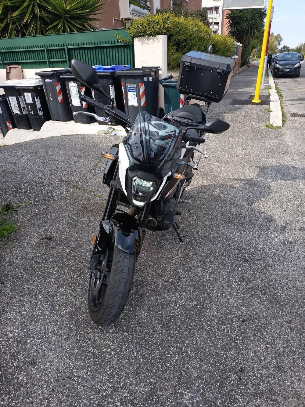 Honda CB 500 Hornet (2024 - 25)