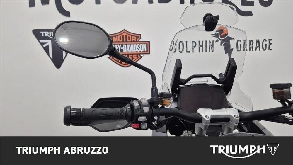 Triumph Tiger 1200 GT Pro (2024 - 26) (5)