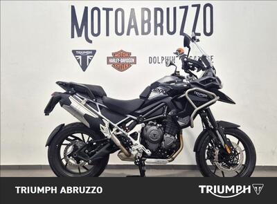 Triumph Tiger 1200 GT Pro (2024 - 26) usata