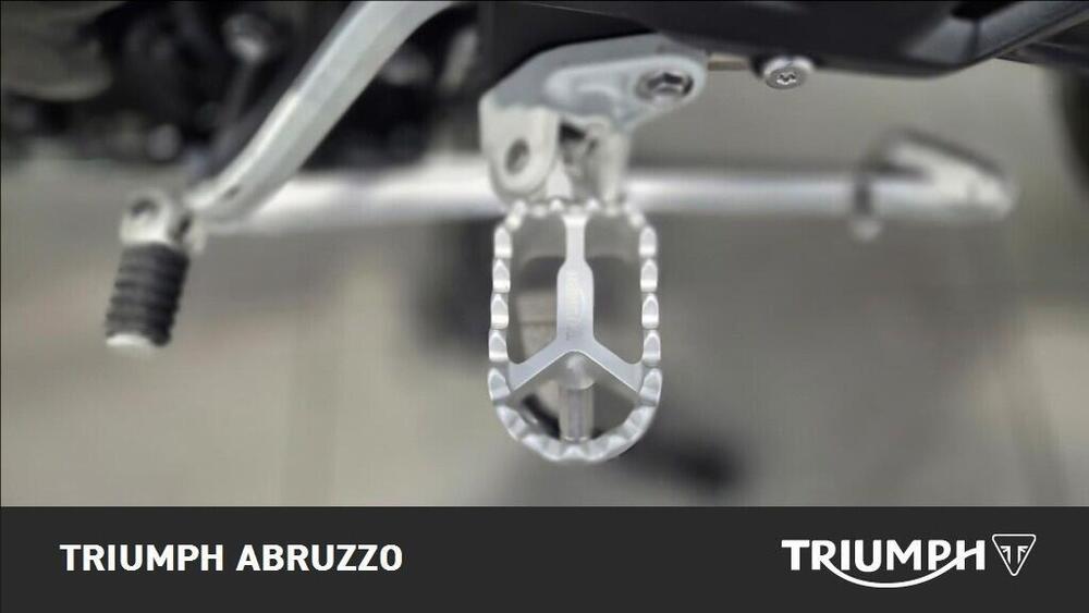 Triumph Tiger 1200 GT Pro (2024 - 26) (9)