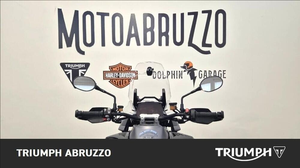 Triumph Tiger 1200 GT Pro (2024 - 26) (4)