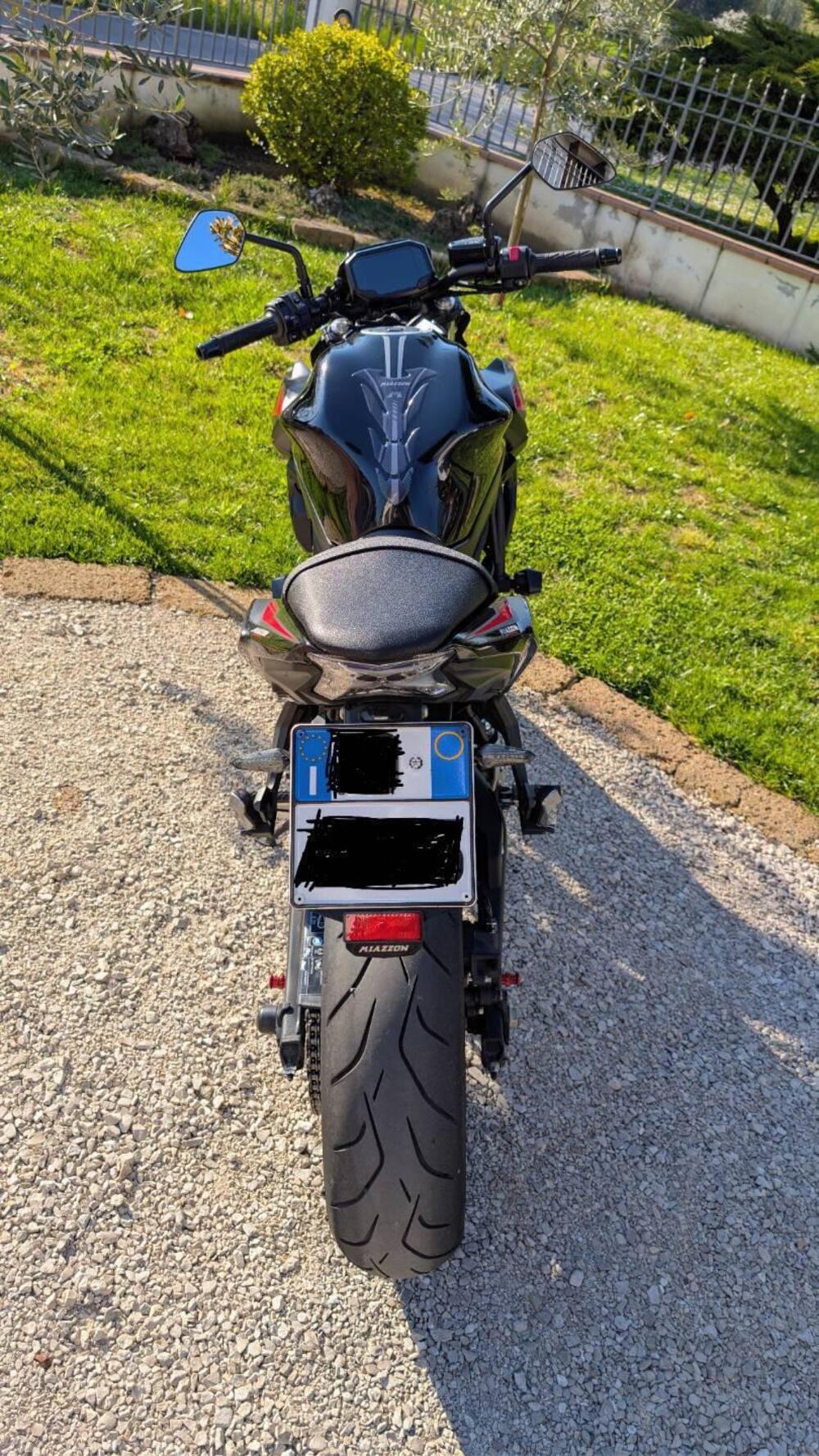 Kawasaki Z 650 (2021 - 24) (2)