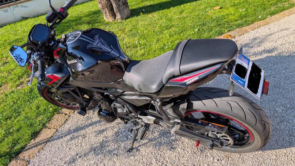 Kawasaki Z 650 (2021 - 24) (6)