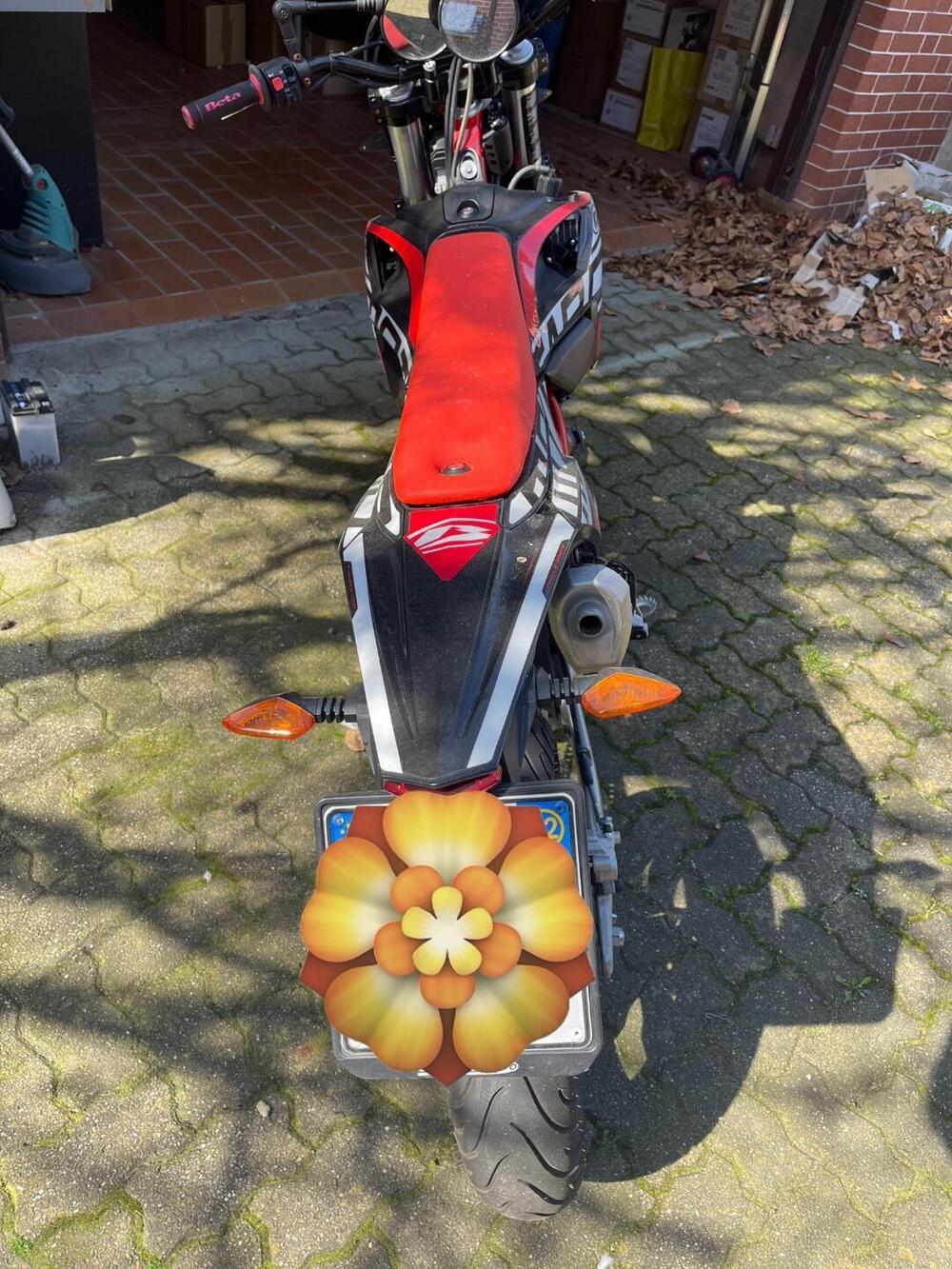 Betamotor RR 125 4T Motard LC (2021 - 23)