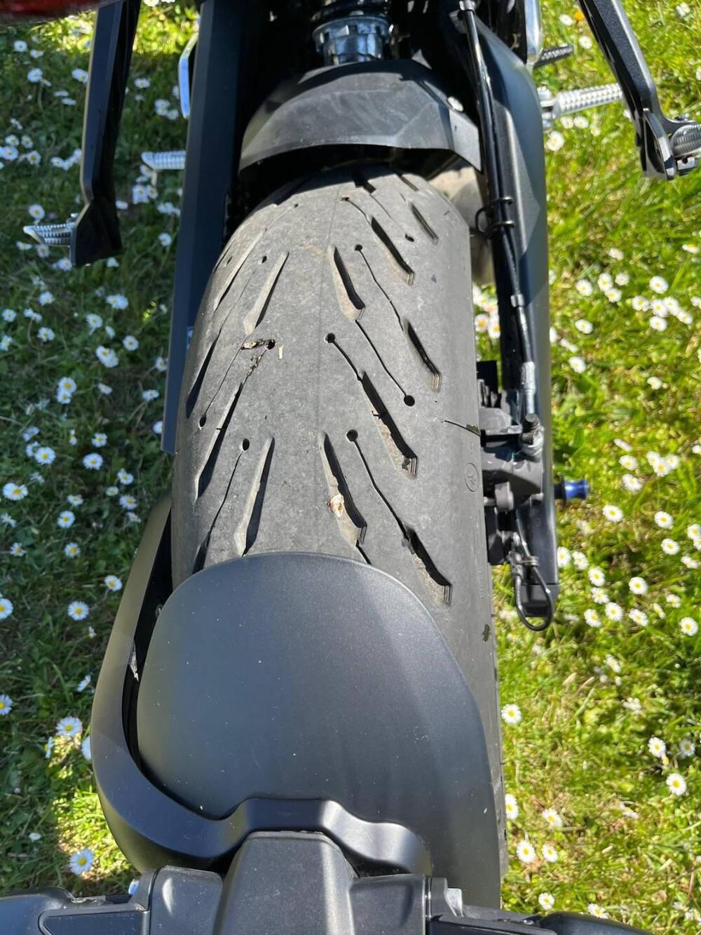 Triumph Trident 660 (2025) (8)