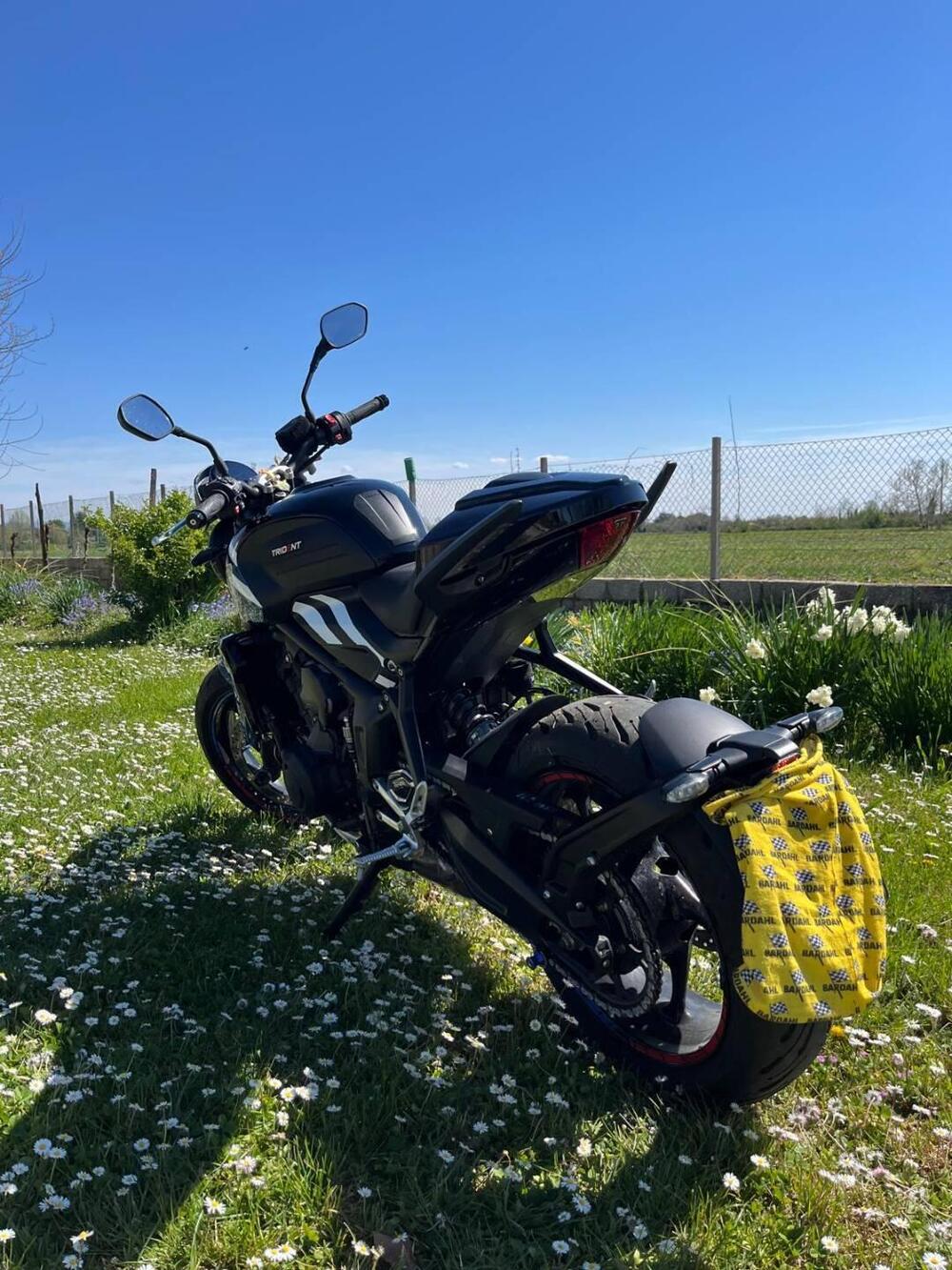 Triumph Trident 660 (2025) (7)