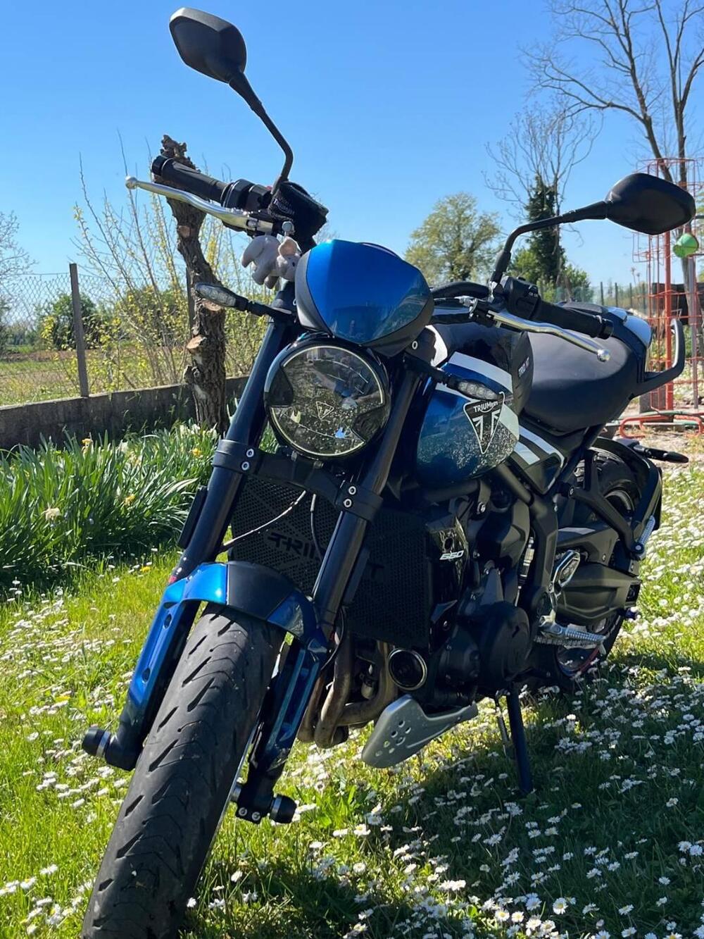 Triumph Trident 660 (2025) (2)