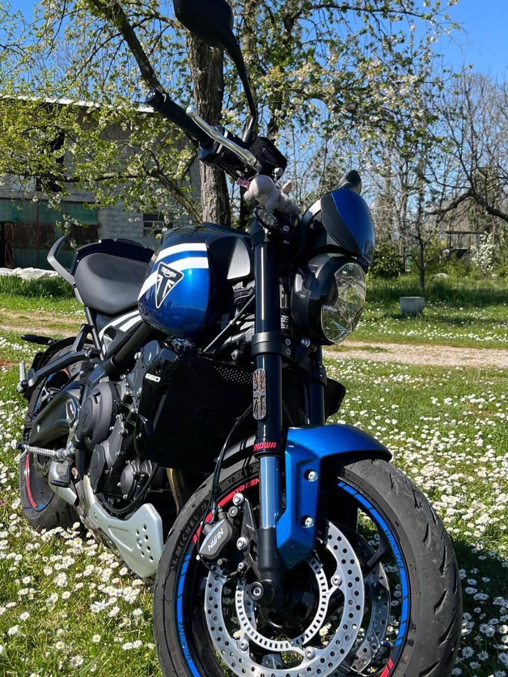 Triumph Trident 660 (2025) (3)