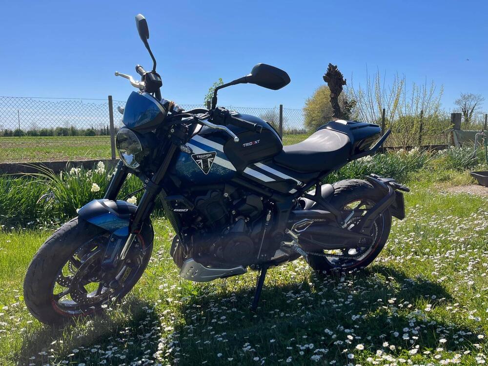 Triumph Trident 660 (2025) (6)
