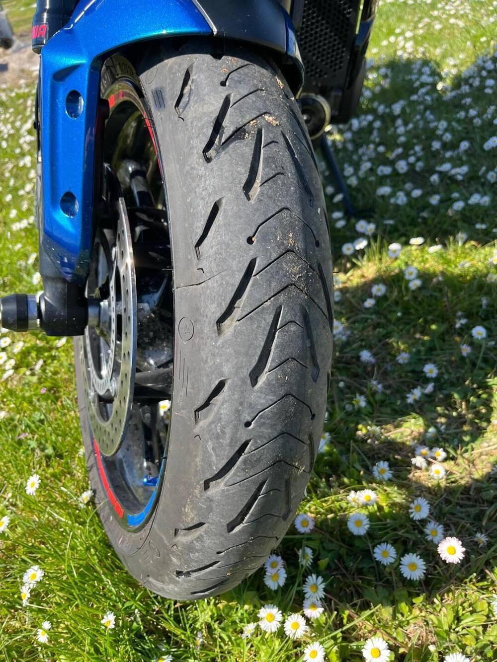 Triumph Trident 660 (2025) (10)