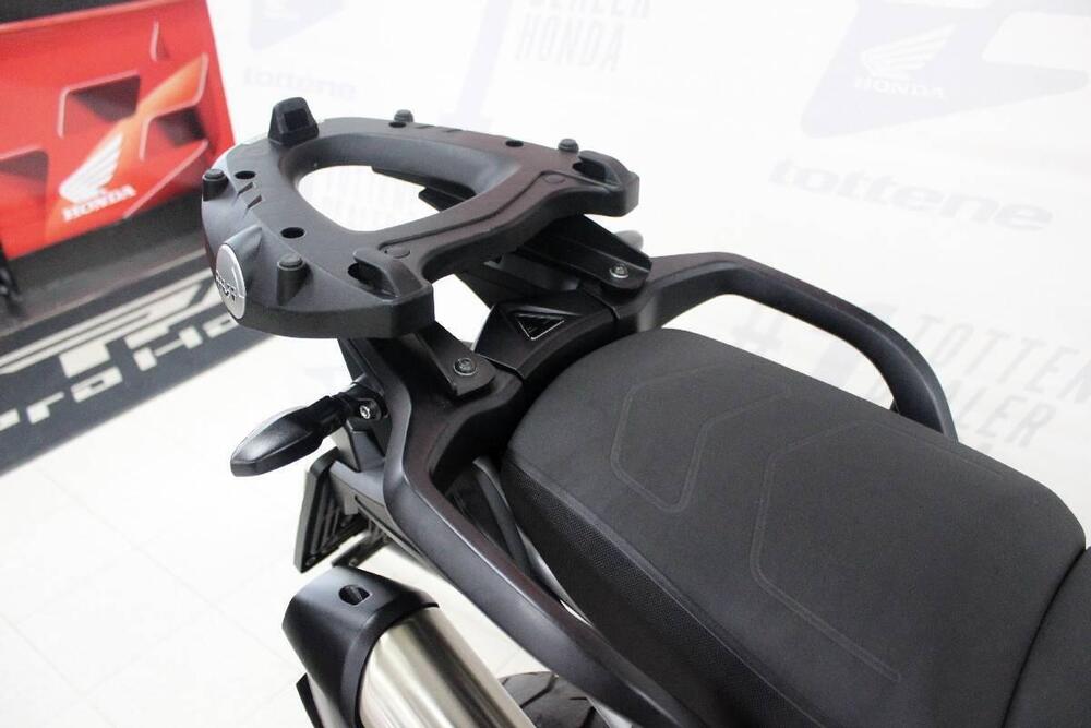 Triumph Tiger 900 GT Pro (2024 - 26) (5)