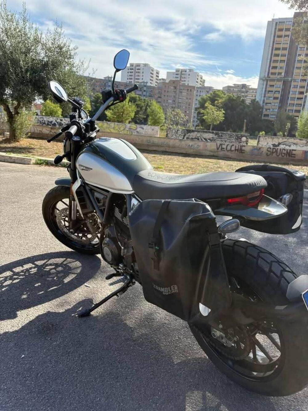 Ducati Scrambler 800 Icon (2023 - 24) (4)