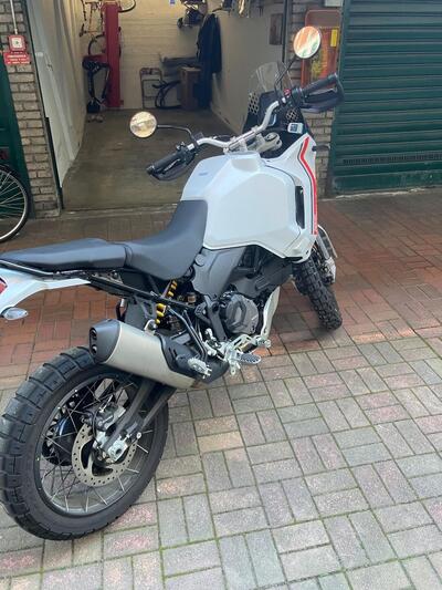 Ducati DesertX (2022 - 25) usata