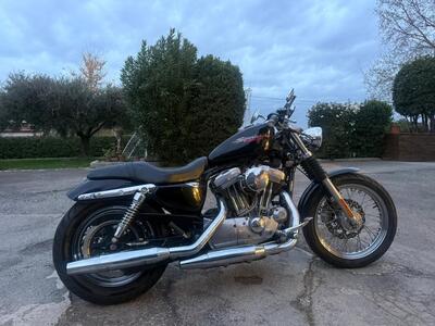 Harley-Davidson 883 Standard (2001 - 05) - XL 883 usata
