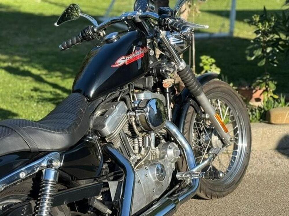 Harley-Davidson 883 Standard (2001 - 05) - XL 883 (2)