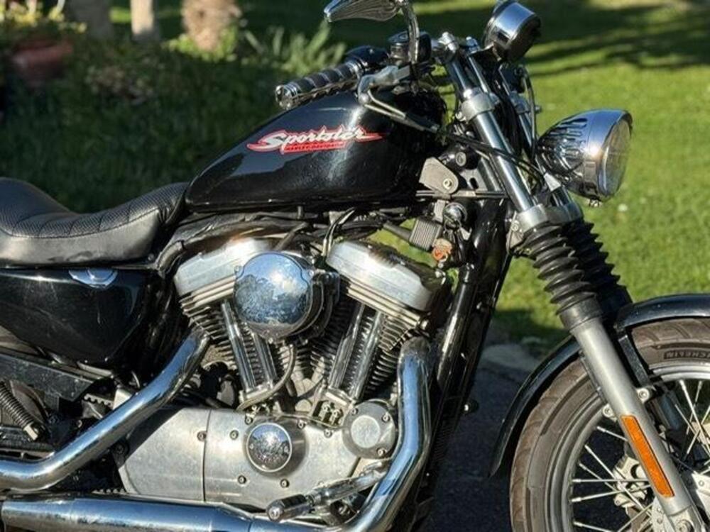 Harley-Davidson 883 Standard (2001 - 05) - XL 883 (4)