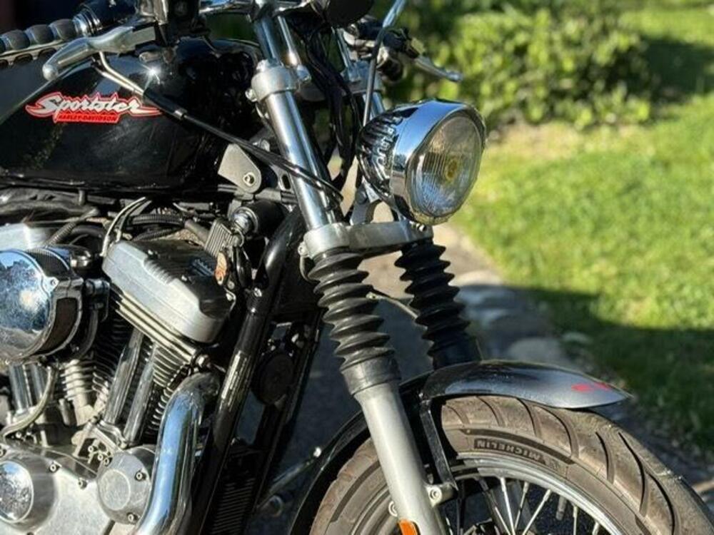 Harley-Davidson 883 Standard (2001 - 05) - XL 883 (6)