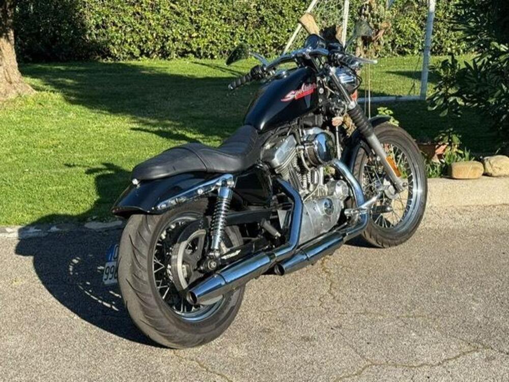 Harley-Davidson 883 Standard (2001 - 05) - XL 883 (7)