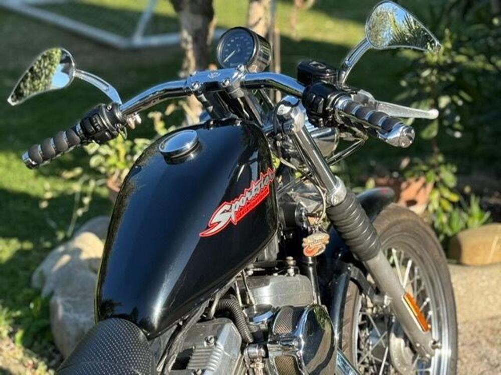 Harley-Davidson 883 Standard (2001 - 05) - XL 883 (8)