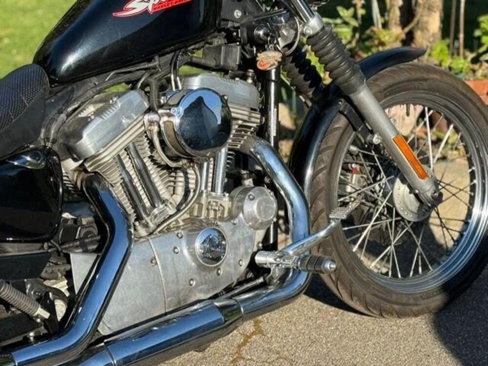 Harley-Davidson 883 Standard (2001 - 05) - XL 883 (9)