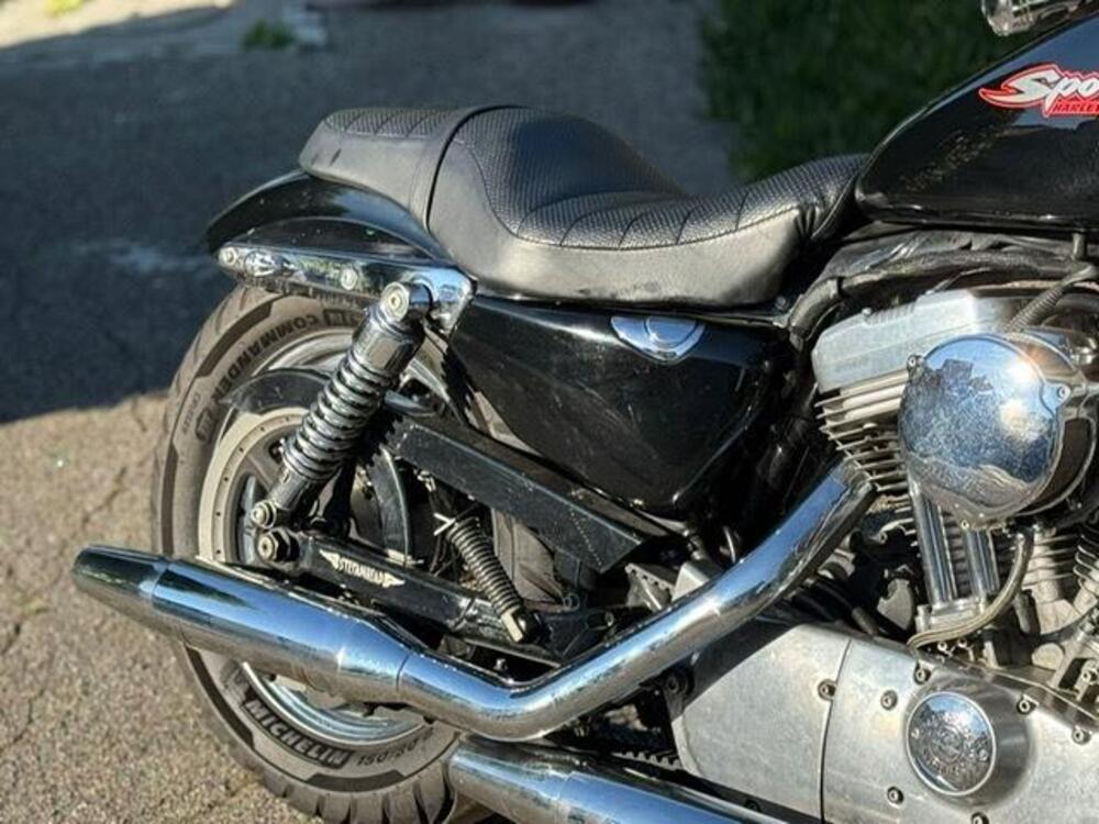 Harley-Davidson 883 Standard (2001 - 05) - XL 883 (10)