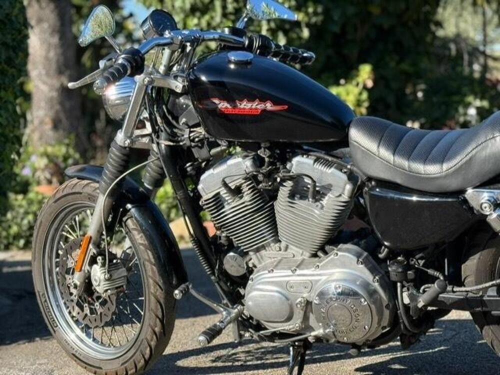 Harley-Davidson 883 Standard (2001 - 05) - XL 883 (12)