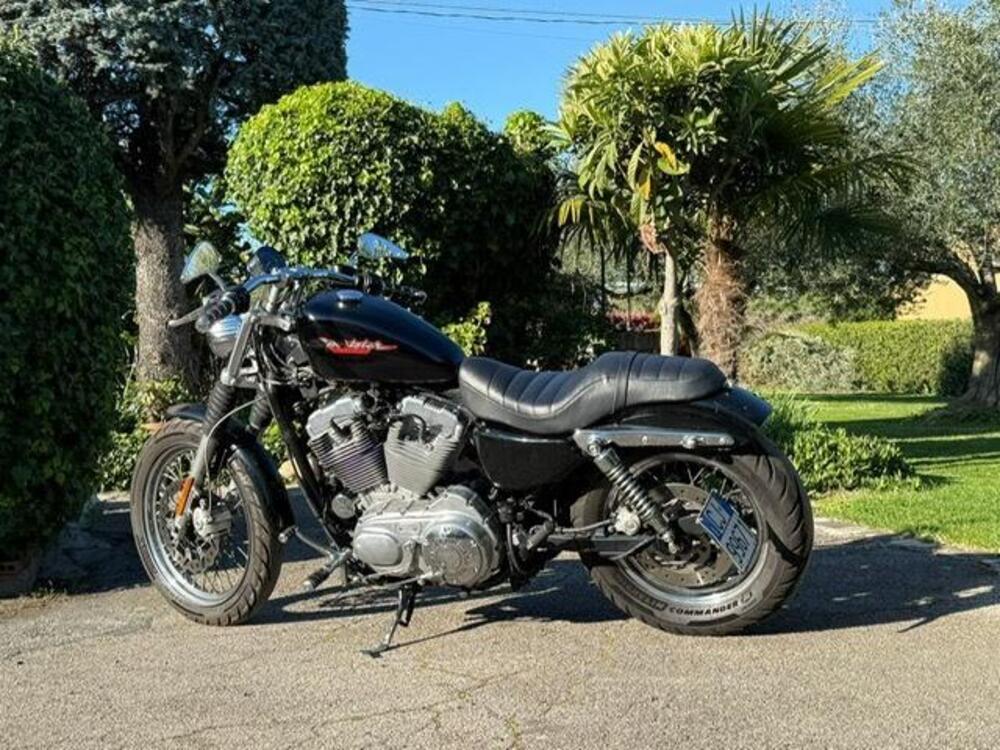 Harley-Davidson 883 Standard (2001 - 05) - XL 883 (13)