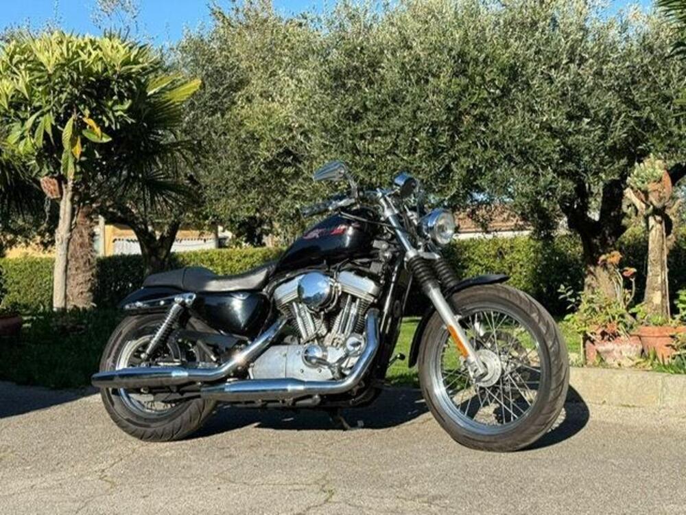 Harley-Davidson 883 Standard (2001 - 05) - XL 883 (14)
