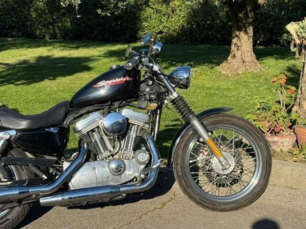 Harley-Davidson 883 Standard (2001 - 05) - XL 883 (15)