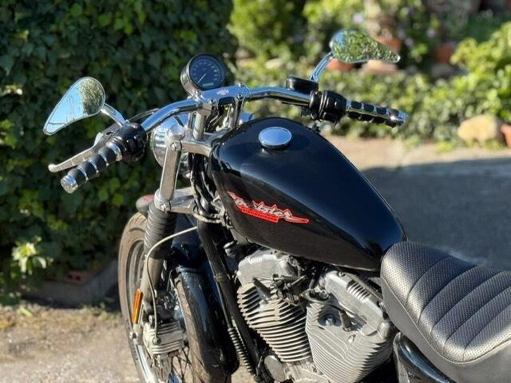 Harley-Davidson 883 Standard (2001 - 05) - XL 883 (16)