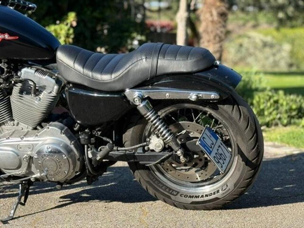 Harley-Davidson 883 Standard (2001 - 05) - XL 883 (17)