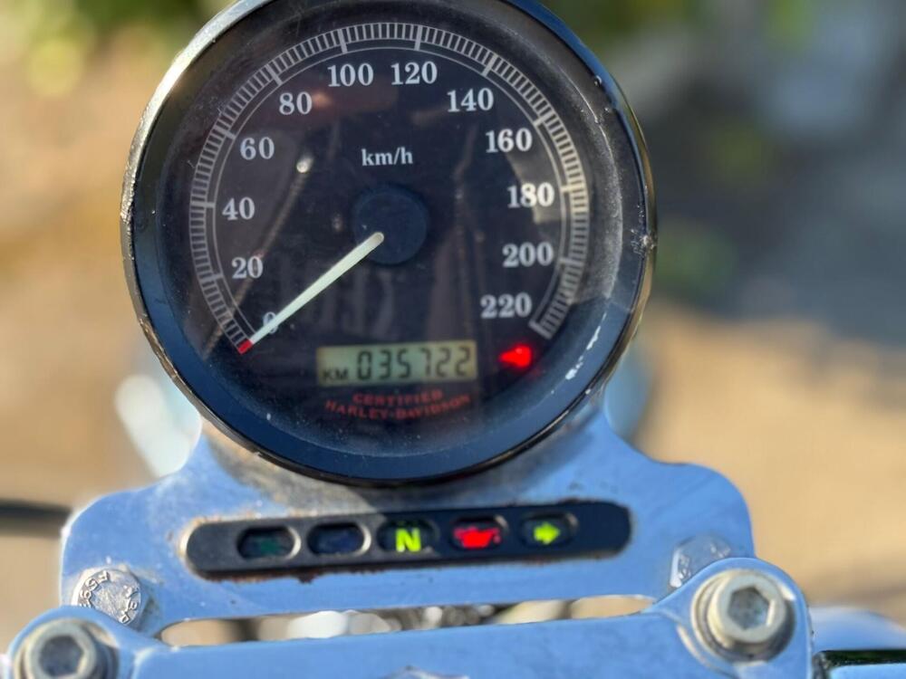 Harley-Davidson 883 Standard (2001 - 05) - XL 883 (18)