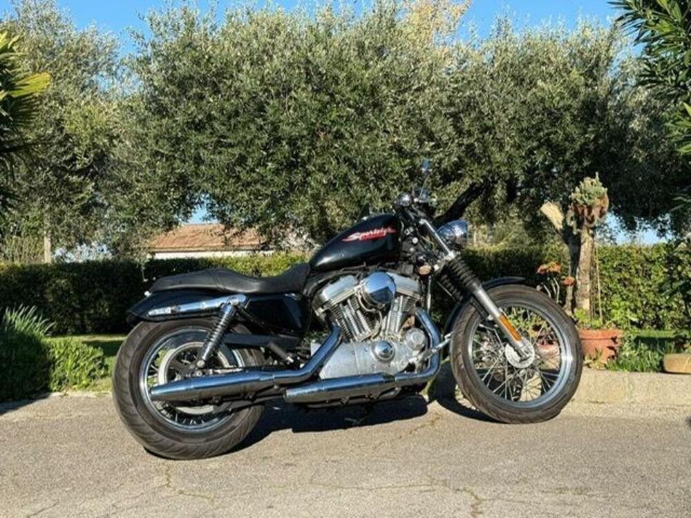 Harley-Davidson 883 Standard (2001 - 05) - XL 883 (3)