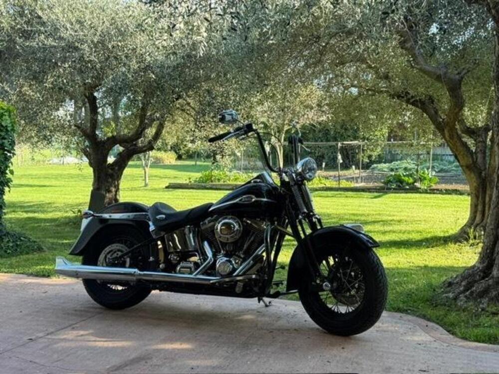 Harley-Davidson 1450 Springer Classic (2005) - FLSTSCI (17)