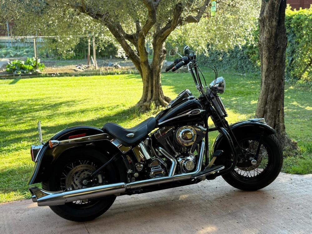 Harley-Davidson 1450 Springer Classic (2005) - FLSTSCI (18)