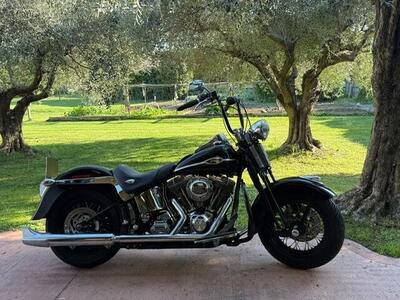 Harley-Davidson 1450 Springer Classic (2005) - FLSTSCI usata