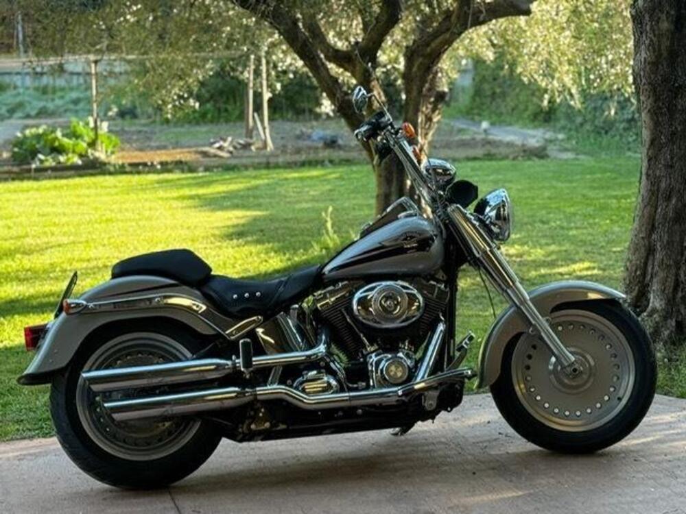 Harley-Davidson 1584 Fat Boy (2008 - 10) - FLSTF (14)