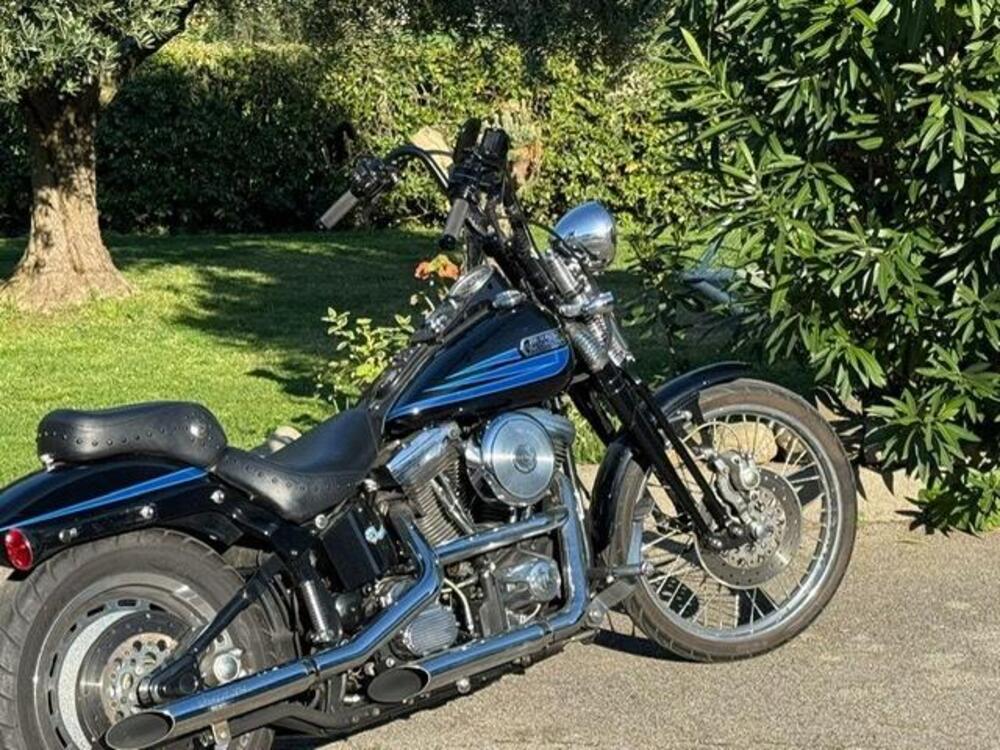 Harley-Davidson 1340 Bad Boy (1995 - 99) (10)