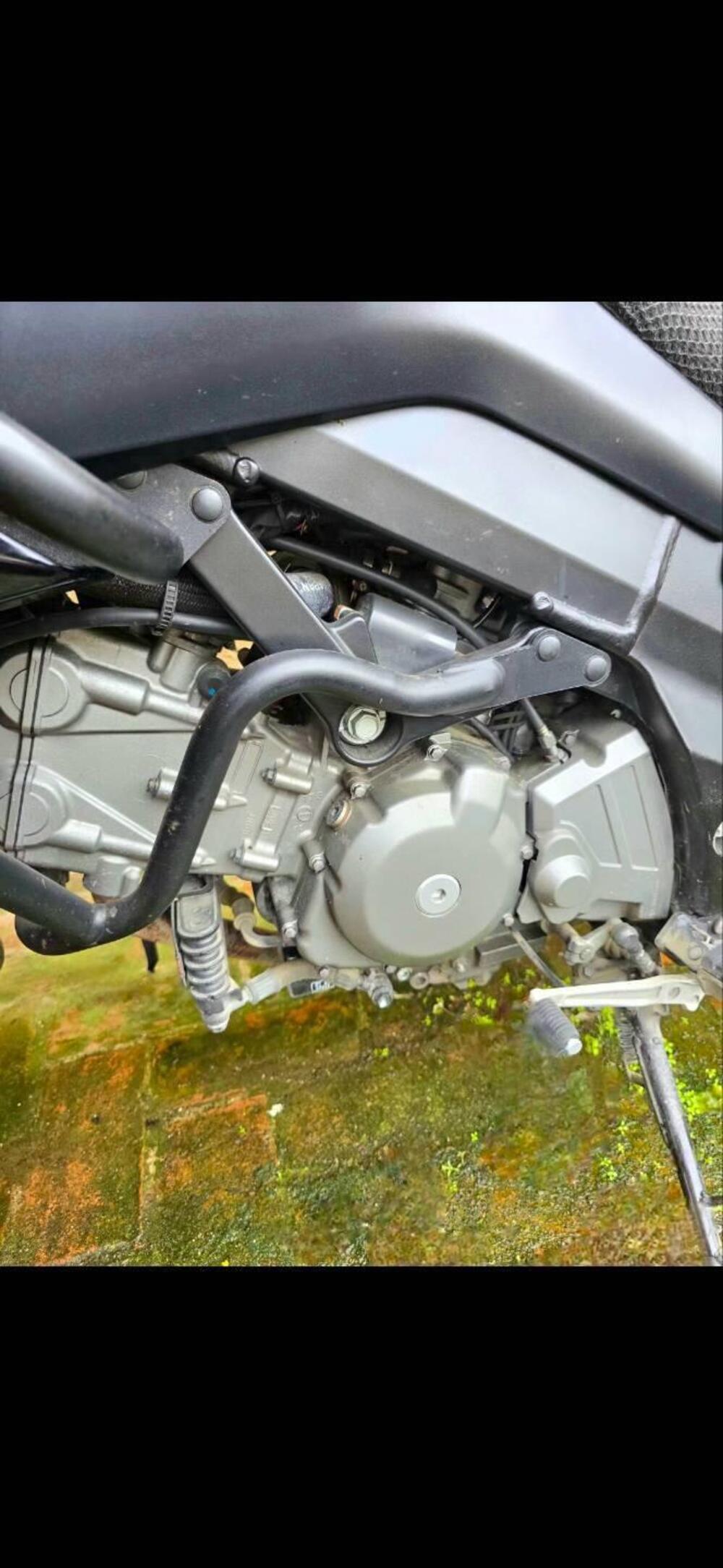 Suzuki V-Strom 650 (2008 - 11) (4)