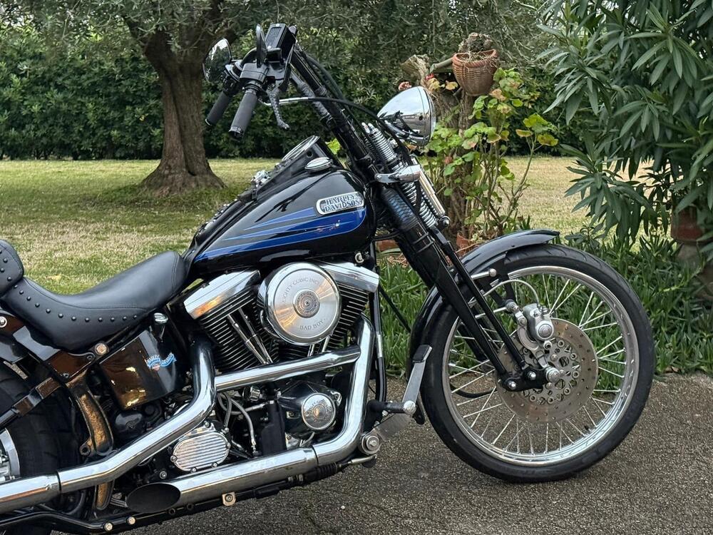 Harley-Davidson softail Bad Boy 1340 (6)